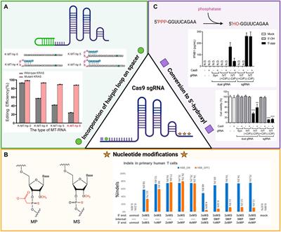 Delivering the CRISPR/Cas9 system for engineering gene therapies: Recent cargo and delivery approaches for clinical translation